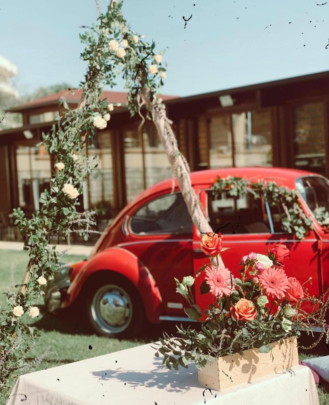 Apart Hotel Llolla Ulcinj Bagian luar foto